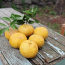 한림속 하루 이미지