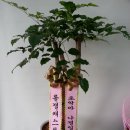 나겜PC방 이미지