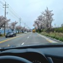 와이엠 구미 | 캠리, 봄맞이 에어컨 필터 교체 및 세차 [24.04.06]