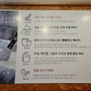 뜨는콩 네이버블로그