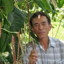 곡성-028 이미지