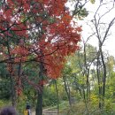 열린자리어린이집 이미지