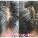 라벨라헤어 네이버블로그