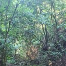 감로수약수터 이미지