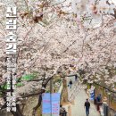 개화-어울림 네이버블로그