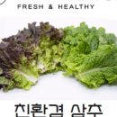 팜네이처