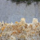 고령군 희망의 새싹 큰잔치 이미지