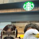 동방슈퍼 | 태국 중국 경유해서 가기 중국동방항공 비행기 연착 후기