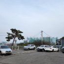 닭이닭 이미지