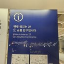 2025. 5. 7. 수. 스웨디시 도슨트 투어 후기 in 이케아 강동점