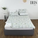 아이리스 이미지