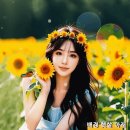 해바라기 꽃과 여인 (SG워너비 - 해바라기) 이미지
