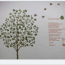 만나만두 이미지