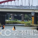 특수임무유공자회청주시지회 이미지