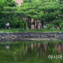 숲속의 휴