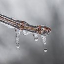 채식식단 웰빙요리 이미지