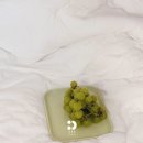 자연과 사람을 위한세탁 | 모달 이불 추천 돌레란 코모도 차렵이불 퀸 가격 및 세탁방법 후기