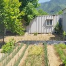 왕산면사무소 이미지