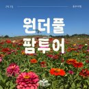 원더풀팜
