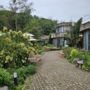 이채쇼핑몰 CU 이미지