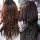 햇오프헤어 역삼역점 | [강남/역삼]역삼역미용실 톤다운염색 손상없이 잘하는 곳 햇오프헤어 대만족