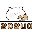 플핏 이미지