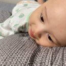 달팽이꿈놀이터 이미지