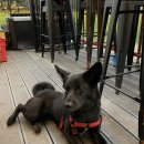 소소스테이 이미지