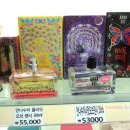 나잇플라잇 이미지