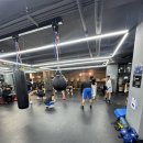 엘리트 복싱 이미지