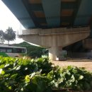 너릿재구도로 이미지