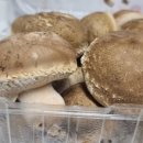 송화농장2 이미지