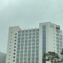 탑지물인테리어 | 정선 파크로쉬 야무지게 이용방법 (자쿠지 꿀팁)
