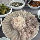 산밭골횟집 | [마산 진전면] 바다뷰에서 먹는 야장감성 횟집 “산밭골횟집” 솔직후기