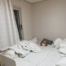 노리키즈펜션 | 제주 동쪽숙소추천 제주노리키즈펜션[제주도 아기랑 숙소, 제주도 키즈펜션, 제주함덕펜션, 독채]