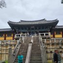 경주 가족 숙소 불국사 여행 서라벌 토기 관광 펜션
