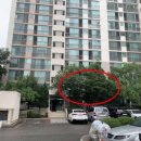 분당-203 이미지