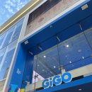 🇯🇵D+184 도톤보리 GIGO | 진격의거인 GIGO 콜라보 | 오사카 한인 미용실