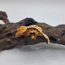 금오대로10길-2 이미지