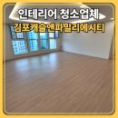위시티 동물병원 | 김포 고촌 캐슬파밀리에 아파트 리모델링청소, 입주 전 꼭 필요한 이유