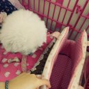 폴리파크 반송점 이미지