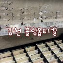 블링옵티컬 이미지