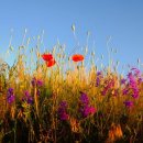 정겨운 마을 이미지