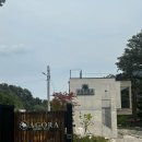 헬리오스와셀레네 | 강릉 아고라 펜션 2탄｜셀레네 객실 후기 + 주문진수산시장·골뱅이·회 먹방까지 완벽했던 가족여행