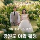 글로리팜 | 강원도 야외 웨딩스냅 | 하늬라벤더팜 바다 반려견동반 촬영