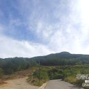 위례우미린공인중개사사무소 이미지