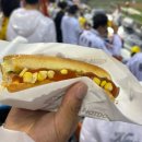 팅커벨1 | 직관 | 잠실야구장 1루 오렌지석 205블록 8열 직관 후기 (좌석 시야, 팅커벨)
