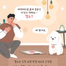 내품애동물병원 이미지