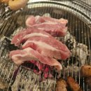 식껍 이미지
