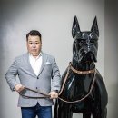 비안코 포레스트 이미지